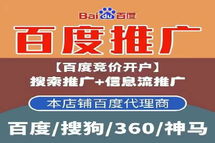 竞价托管服务案例解析